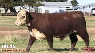 LOT 35 YALGOO PARIS R208