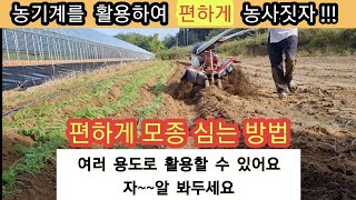 편하게 농사짓자!!!(35편 모종심는 방법 잘 봐두세요)