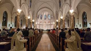 Eucharistic Celebration