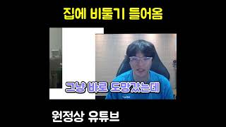 집에 비둘기 들어옴 레전드 ㅋㅋㅋㅋㅋㅋㅋㅋㅋㅋ