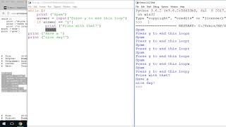 Python's while statement with break and continue