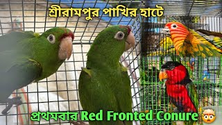 Serampore Pet Market 💥|🔥 Recent Bird Price Update | First Time Red Fronted Conure🤯