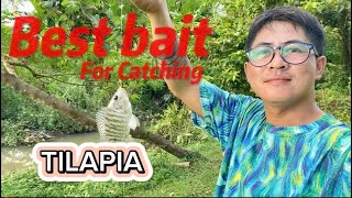 Best Bait for Catching Tilapia: Expert Tips \u0026 Tricks!