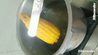 home made tasty sweet corn(ರುಚಿಯಾದ ಮೆಕ್ಕೆ ಜೋಳ)