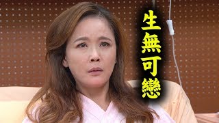 【金家好媳婦】EP227 癌！燕卿再崩一波 Chao甜黏昊傑