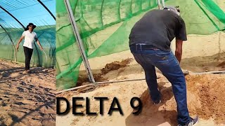 #delta9  البيوت البلاستيكية