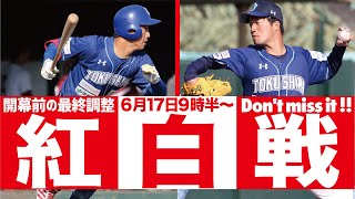 【ライブ】開幕へ最終調整！徳島インディゴソックス紅白戦 2020.06.17