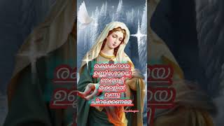 ഡിസംബർ 17 #youtubeshorts #shortvideo #shortsfeed #jesuschrist #littlejesus #mothermary