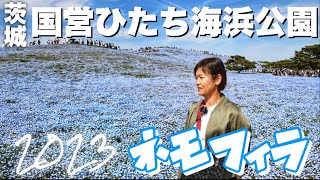 【茨城県】国営ひたち海浜公園でネモフィラ見たら天国すぎた