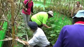 20170418中和區樂齡學習中心植栽班第五堂課--授粉