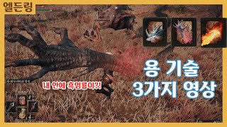 4K XSX] 엘든 링 용의 심장으로 배우는 - 용 기술 - 3가지 영상