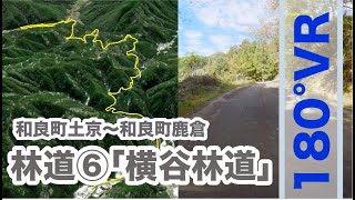 【郡上の道】横谷林道「和良町土京〜和良町鹿倉」180VR