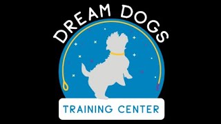 SKC Agility Trial at Dream Dogs