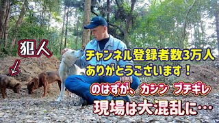 【猟犬カシン ブチギレ】チャンネル登録者数３万人ありがとうございます！のはずが…。