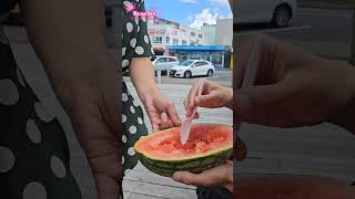 🇳🇿 뜨거운 햇볕 아래 수박을 먹었습니다./We ate watermelon under the hot sun.