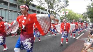 帯屋町筋　原宿スーパーよさこい2013