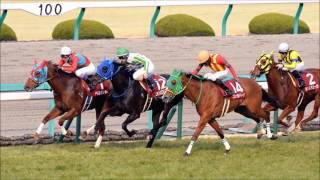 【重賞データ戦略】2017 フィリーズレビュー（GII） 阪神競馬場 1400ｍ（芝）馬齢（牝）3歳オープン