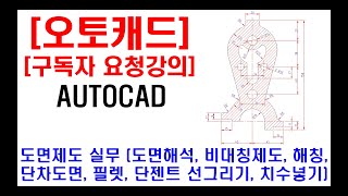 [ 구독자 요청강의 ] 오토캐드 실무 도면제도 (도면해석, 비대칭제도, 단차도면, 필렛, 탄젠트 선그리기, 해칭, 치수넣기, 캐드꿀팁, 캐드단축키, 캐드디자인, 캐드자격증 등)