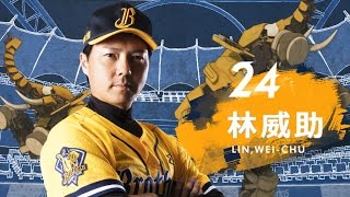 2017中信兄弟球員應援帶動 - #24 林威助