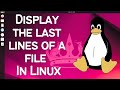 How To Display The Last N Lines In A Text File Using Linux Termina