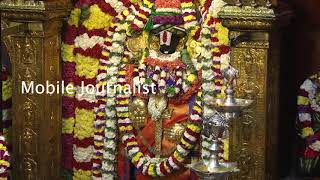 சொர்க்கவாசல் திறப்பு TTD Temple in T Nagar Chennai | Mobile Journalist