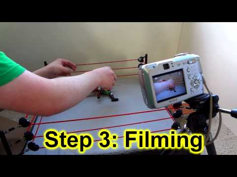 LKS: Stop-Motion Tutorial LKS: Stop-Motion Tutorial