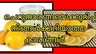 ചെറുനാരങ്ങയെക്കുറിച്ച് നിങ്ങൾക്കറിയാത്ത കാര്യങ്ങൾ