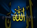 আল্লাহ বলে বান্দা বলো না। allah islam