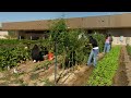 This School Built its Own Farm to Feed the Neighborhood - America's Heartland