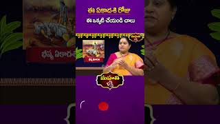 ఏకాదశి రోజు చేయవలసిన ముఖ్యమైన పని ||  Astrologer Ramadevi