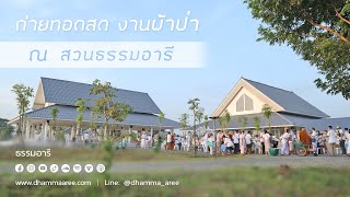 Live พิธีทอดผ้าป่าสามัคคี 2567 ณ สวนธรรมอารี 7 เม.ย. 67