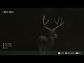 Hunting MIDNIGHT! Our Melanistic Mule Deer Buck!  Way of the Hunter