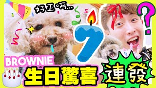 【🐶BROWNIE七歲生日驚喜連發🎂～】初次體驗「日式風呂溫泉♨️」！即場OMAKASE美食？❤️好嘆~(中字)