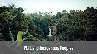 Indigenous Peoples and PEFC