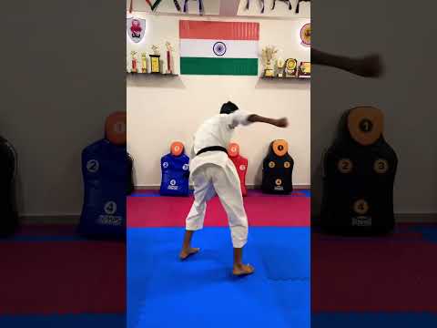 360 Kick , 540 Kick , Taekwondo Kick , 720 Kick , Flying Kick , Tornado ...