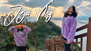 TRAVEL TO KOREA | JEJU VLOG | ADULT MUSEUM? TANGERINE PICKING