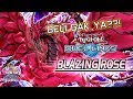 [DUEL LINKS] BAHAS BOX BARU BLAZING ROSE!!