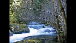 CELTIC SPRING.wmv