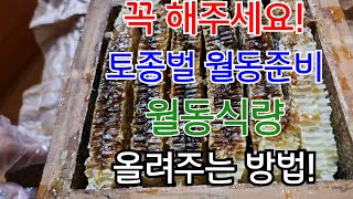 (풀버전)꼭 해주세요! 토종벌 월동준비 | 월동식량 올려주는 방법!