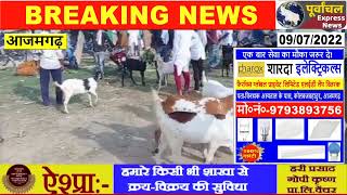 #AZAMGARH:महंगाई ने बकरीद के त्योहार की रौनक की है फीकी !