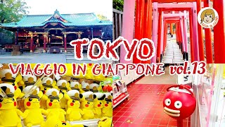 TOKYO - VIAGGIO IN GIAPPONE vol.13