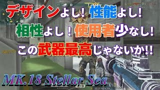 【AVA】瑠己の爆破成長日記part117【MK.18 Stellar Sea】