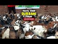 Perform Your Qurbani for £25 per Share
