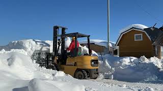 雪下キャベツの掘り出し作業/産直・直販：北海道 富良野 メロン農家の寺坂農園