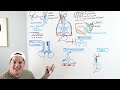 pneumonia overview