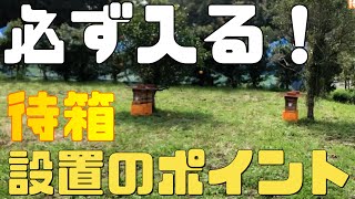 必ず入る待ち箱 設置のポイント！　か式巣箱をそのまま待ち箱に使用します【日本ミツバチ庭先養蜂】【自然養蜂家】【か式養蜂】【庭先養蜂】【週末養蜂】【日本蜜蜂活性化協会】【趣味の養蜂】