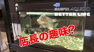 098 アクディオ 店長の趣味？