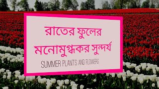 summer plants and flowers.  গ্রীষ্মকালীন গাছপালা এবং ফুল।