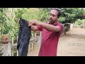 dress കളർ ചെയ്തു പുത്തനാക്കാം sibus media