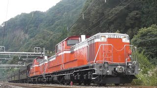 [完全 総集編]『DD51-842＋DD51-895＋旧客×5B・快速 DLレトロみなかみ[9731レ]』2017/10/14(JR上越線)